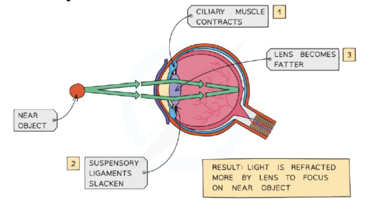 Near Object